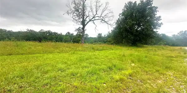 41 Loop