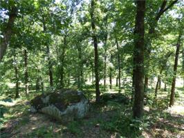 Lt 12 Duchess Creek Est V 4296 Road