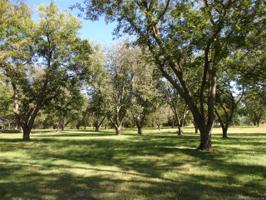 7-2 Saltsman's Orchard N E. Street