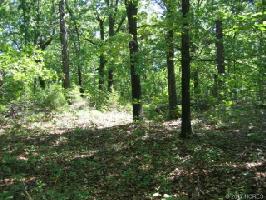 TBD W Woodhaven Drive
