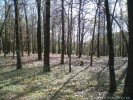 Plum Tree Road