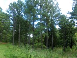 Spavinaw Hudson Point
