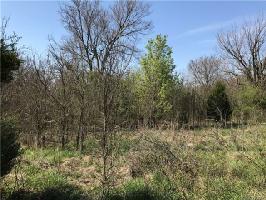 Spring Creek Drive