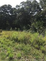 SCR 4490 Road