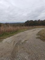 154 County Road 2531