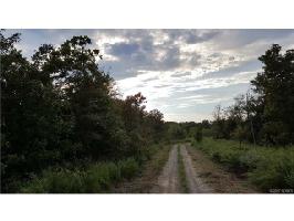 40 Acres Dozer Mountain Road