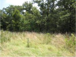 Lot 6 Blk 1 Mason Oaks Road