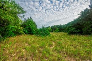 1554 Walking Sky