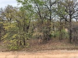 157 Driftwood Road