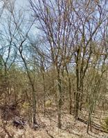 114872 4196 Road