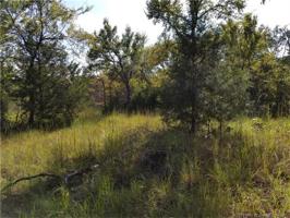 LOT 55 McCoy Road