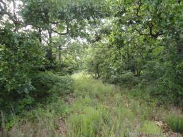 Piney Creek Road