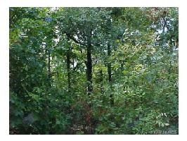 Lot 25 Blk 7 BK 1700 Road
