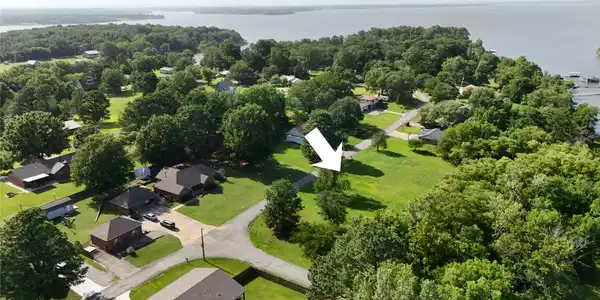 Image 3: Expansive undeveloped lot featuring mature trees a