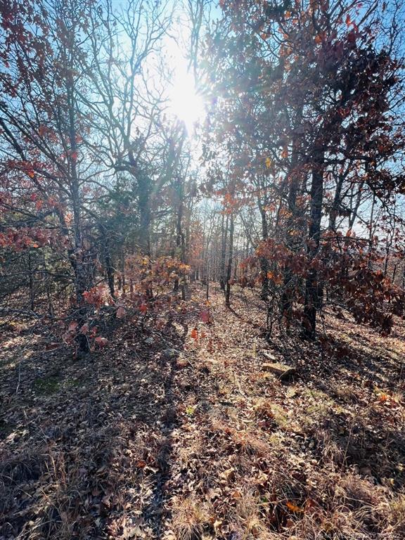 8 S 4545 Road, Vian, OK lhrmls01405766