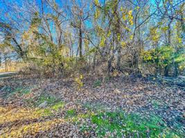 51 Briar
