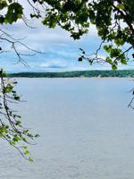 98 Lakeside Terrace