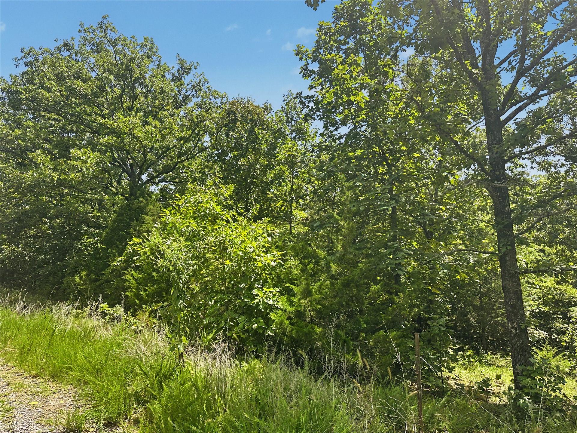 Image 2: Wooded lot featuring mature deciduous trees and va