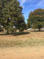 2178 Serenity Ci Circle
