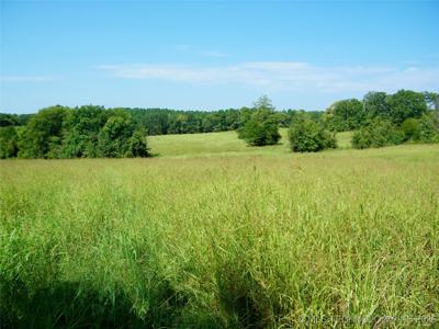 901 Sycamore Loop