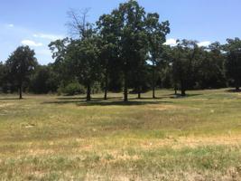 Comanche Road