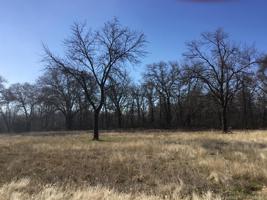 Comanche Road