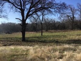 Comanche Road