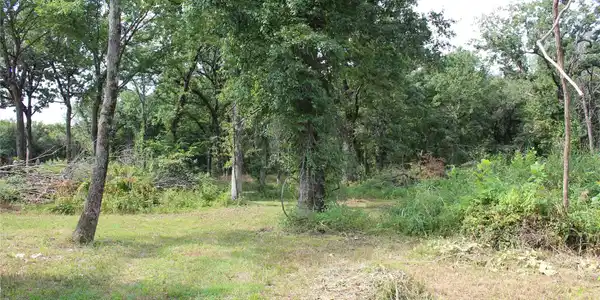 Image 4: Expansive wooded area with mature trees and natura