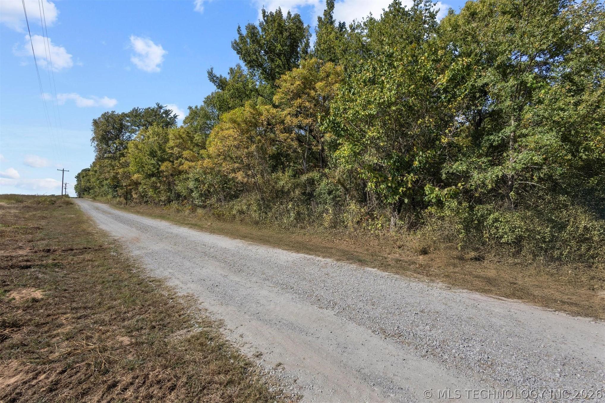 Image 3: Adobe Ln View