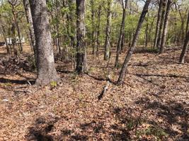 Texoma Park Road