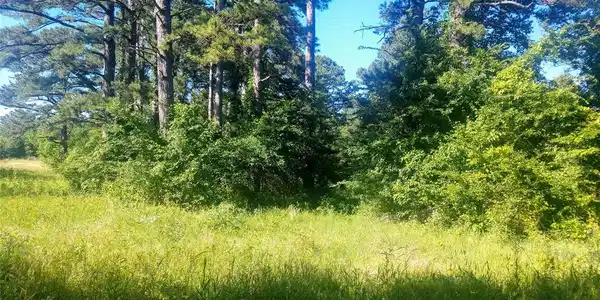 Aslin Prairie Road