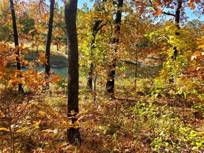 Hickory Lane