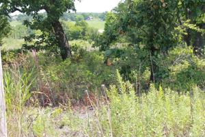 Hickory Hill Drive