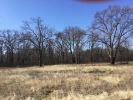 Comanche Road