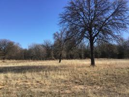 Comanche Road