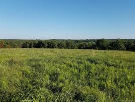 Skylar Lane