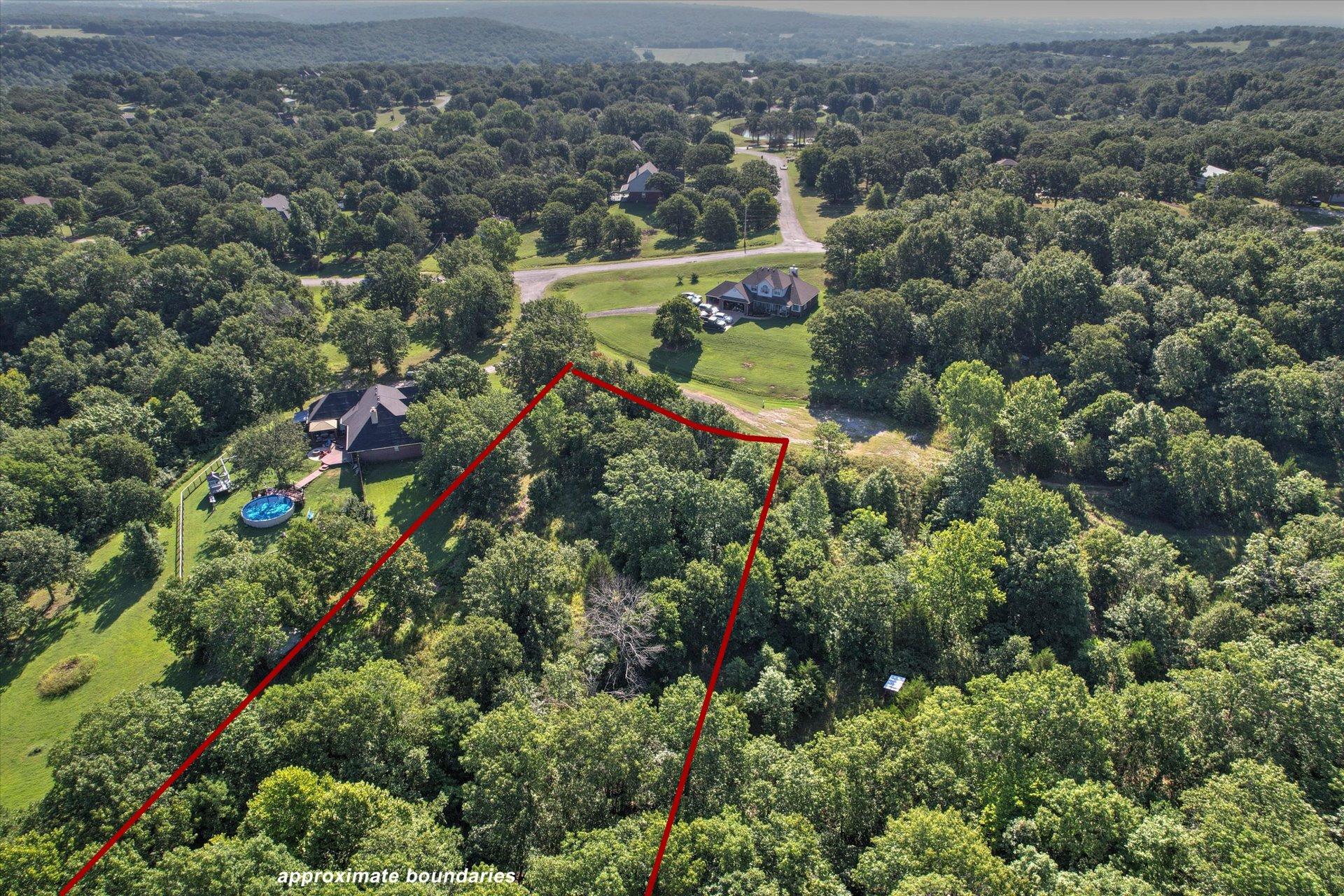 Image 1: Heavily treed lot with distinct red boundary lines
