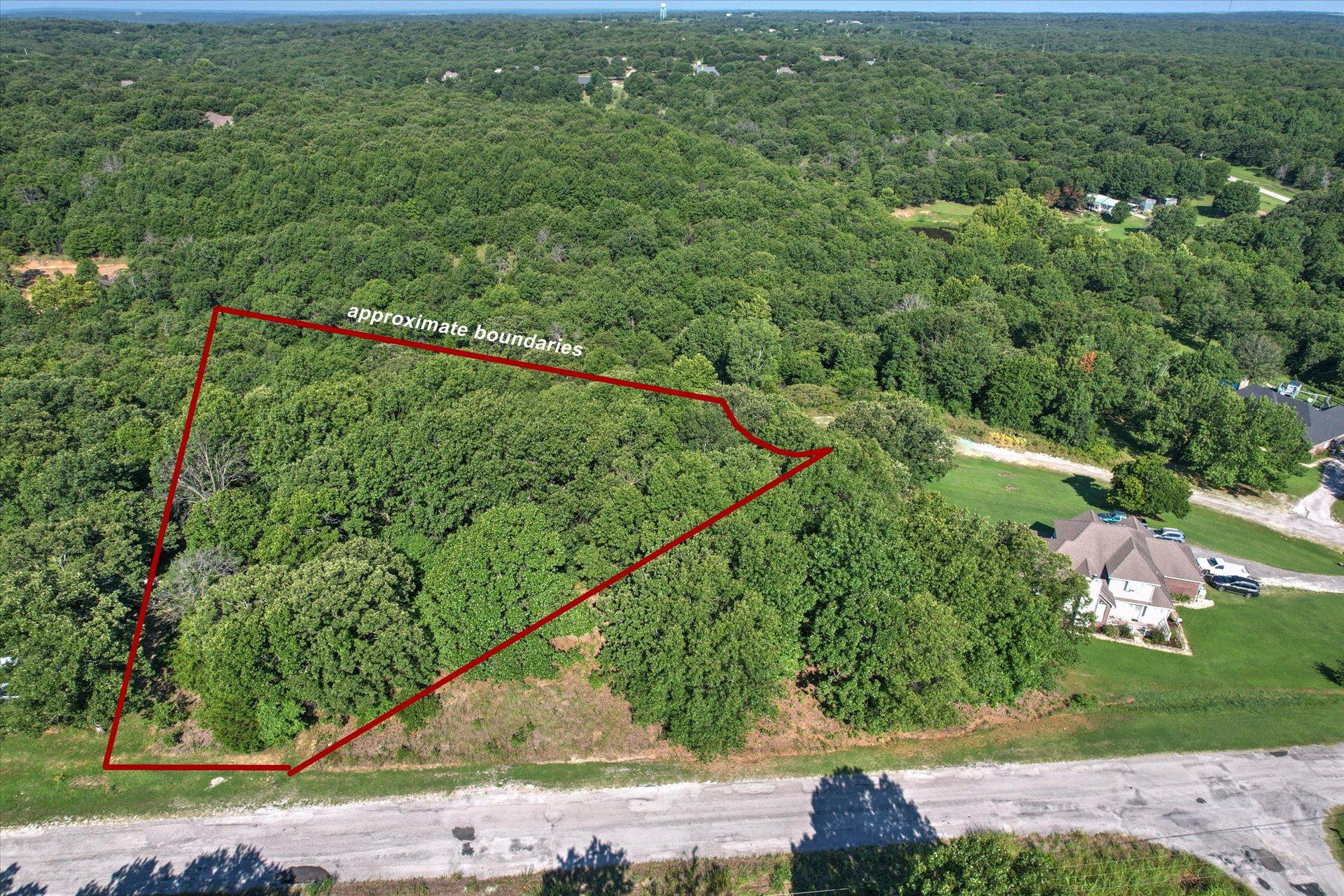 Image 3: Wooded lot bordered by mature trees and a paved ro