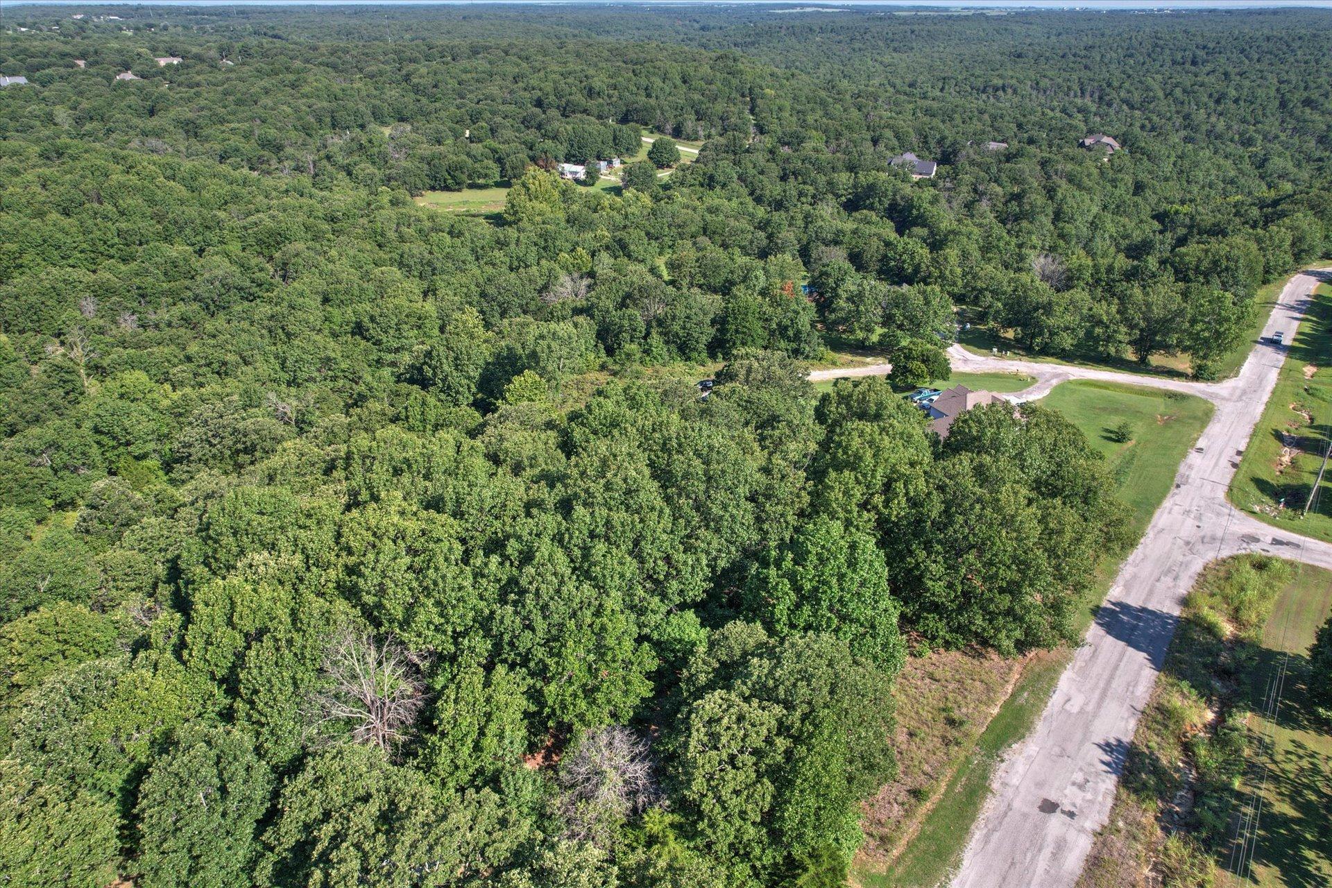 Image 4: Expansive wooded landscape with scattered resident