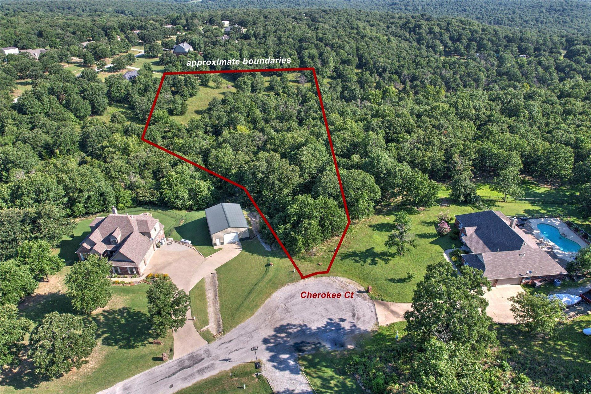 Image 2: Expansive wooded parcel featuring mature trees, a