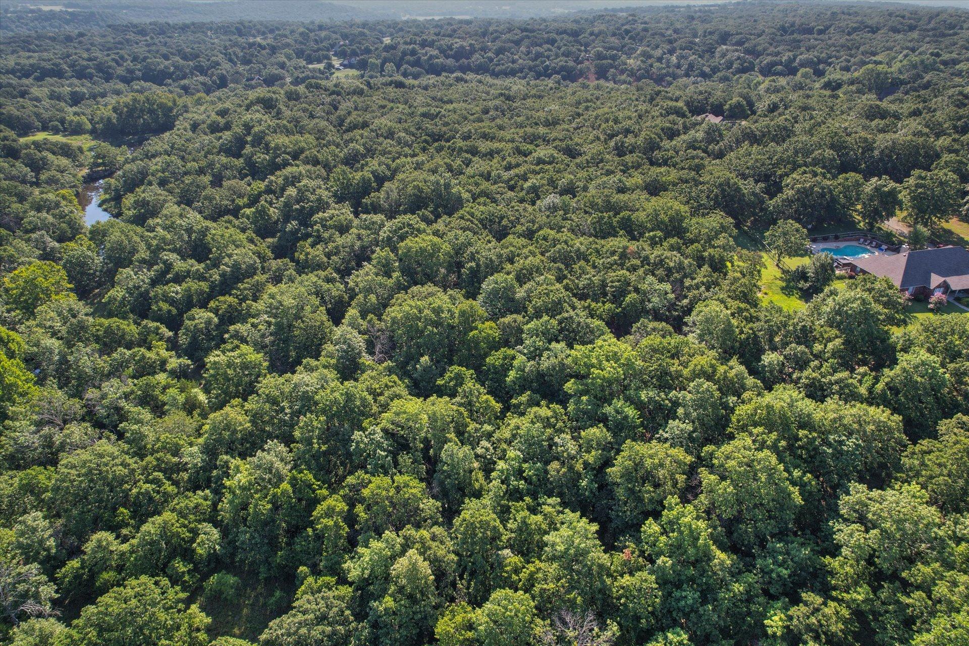 Image 1: Expansive treed landscape featuring a river and a