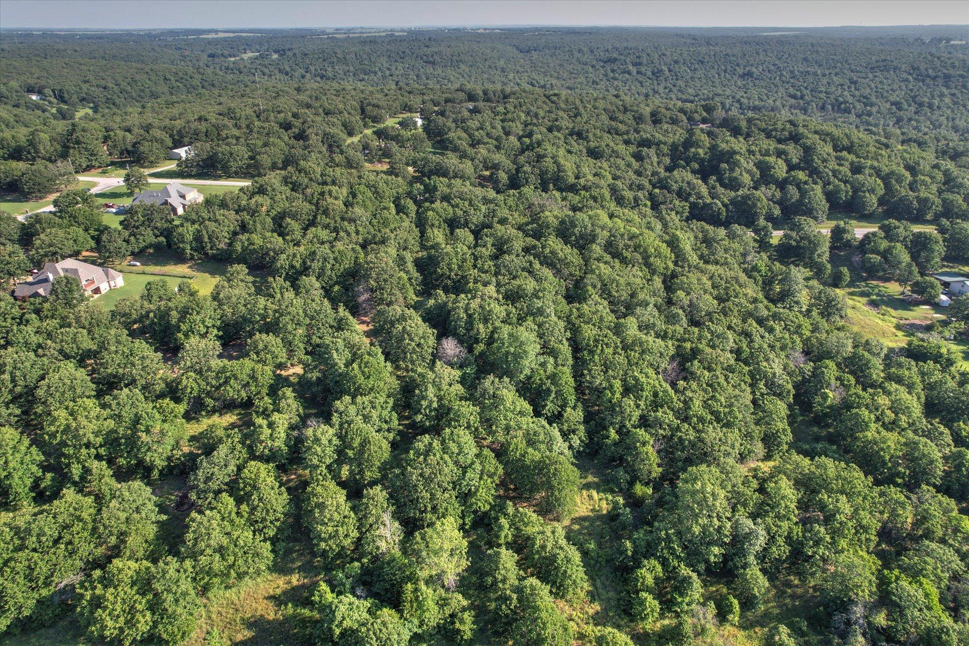 Image 1: Expansive wooded acreage featuring mature trees an