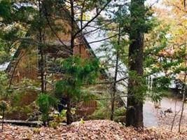 90 W Cedar Loop