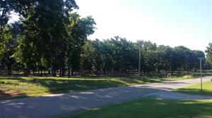 Willow Springs Road