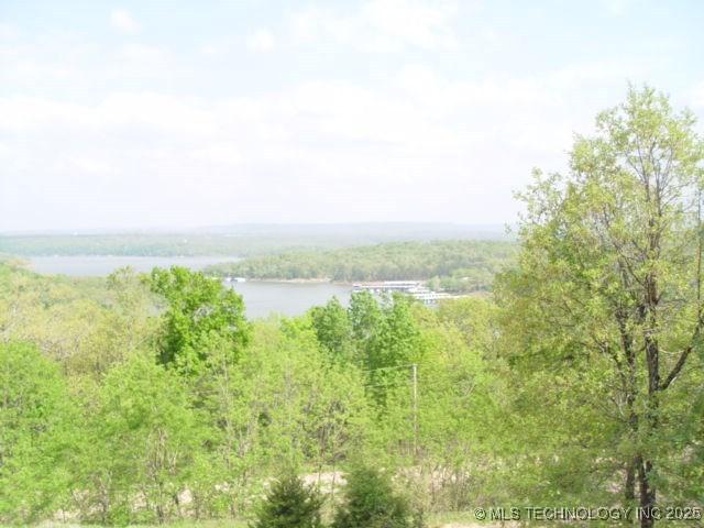 Image 3: BEAUTIFUL LAKE TENKILLER VIEWS...