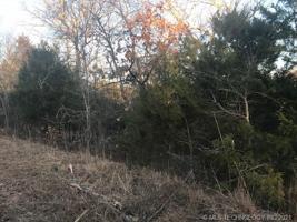 Mule Shoe Lane