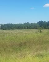 Hwy 20