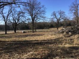 Comanche Road