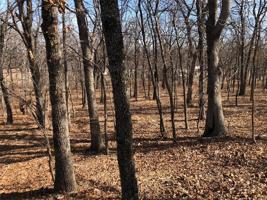 Texoma Park Road