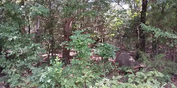 Sunset Circle